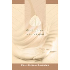 MINDFULNESS IN PLAIN ENGLISH